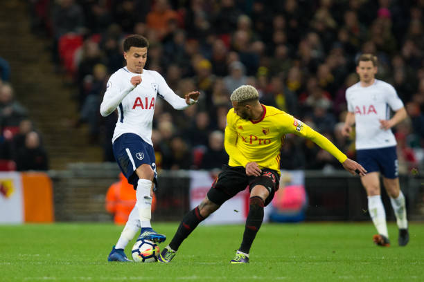 球迷的心 球迷的心