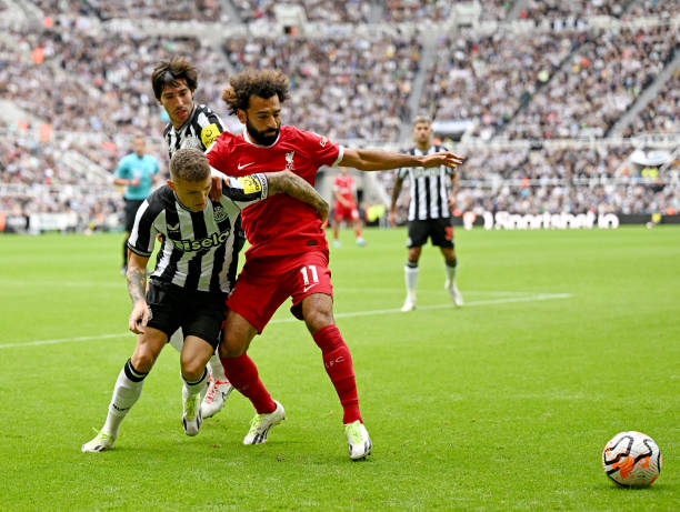 每個體育迷 每個體育迷