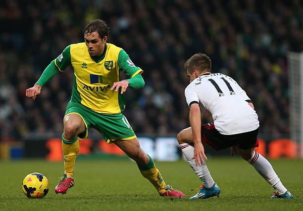 不仅展示了 不仅展示了